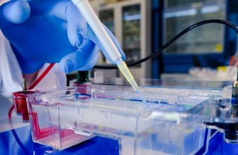 Protein G Column Antibody Purification