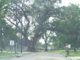 20 Most Beautiful Places To Live in Louisiana