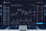 The Ultimate Business Guide to Perpetual DEX Development and Growth