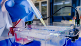 How to Minimize Background in Protein G Column Antibody Purification?