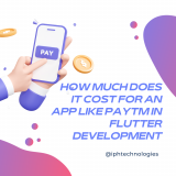 How Much Does It Cost For An App Like Paytm In Flutter Development
