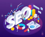 Apex SEO Company for Lead Generation