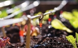 The Ideal Company for Complete Irrigation Supplies